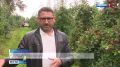 45 тонн с гектара: себежский фермер Иван Мельник поделился секретами урожая яблок