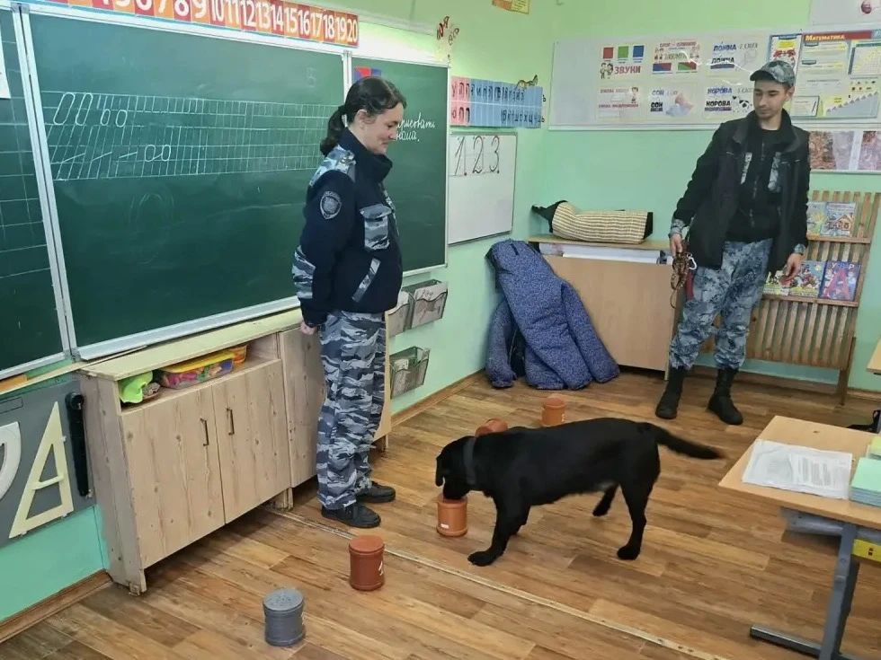 Кинологи провели урок безопасности для опочецких школьников Кинологи провели урок безопасности для опочецких школьников