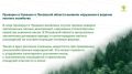 Итоги недели – в лесном дайджесте