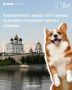 Этим летом Псковская область закрепила за собой статус одного из самых гостеприимных регионов России для путешественников с питомцами