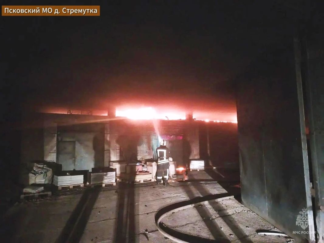 Пожарные предотвратили взрыв трёх газовых баллонов в Псковском районе