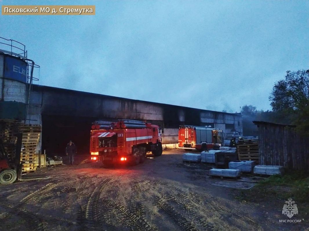 Пожарные предотвратили взрыв трёх газовых баллонов в Псковском районе Пожарные предотвратили взрыв трёх газовых баллонов в Псковском районе