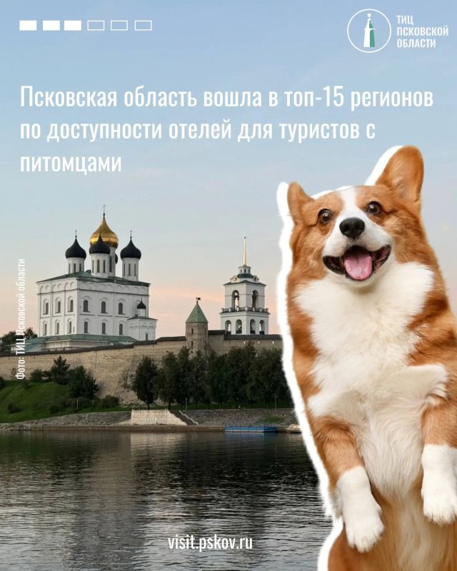 Этим летом Псковская область закрепила за собой статус одного из самых гостеприимных регионов России для путешественников с питомцами