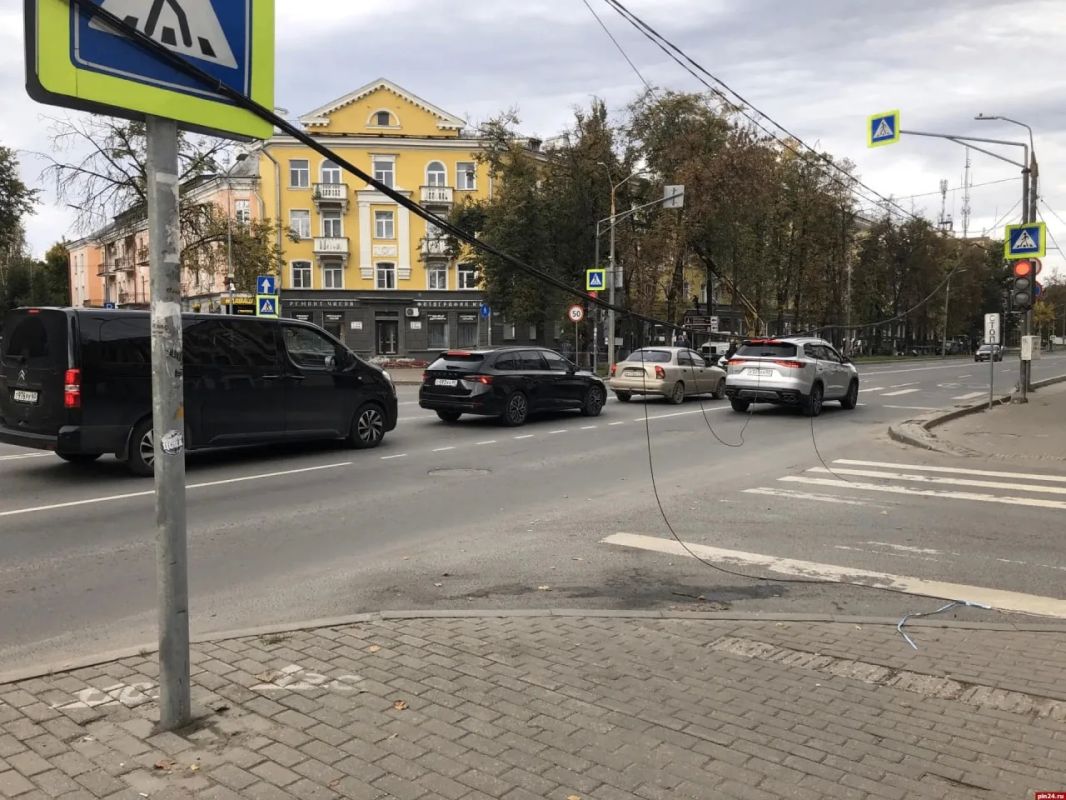 Оголенные провода висят над «зеброй» в Летнем саду Пскова Оголенные провода висят над «зеброй» в Летнем саду Пскова