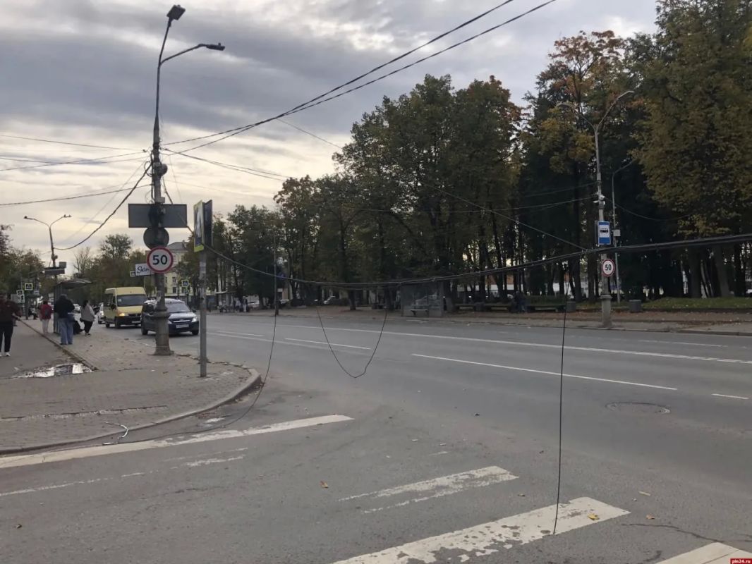 Оголенные провода висят над «зеброй» в Летнем саду Пскова Оголенные провода висят над «зеброй» в Летнем саду Пскова