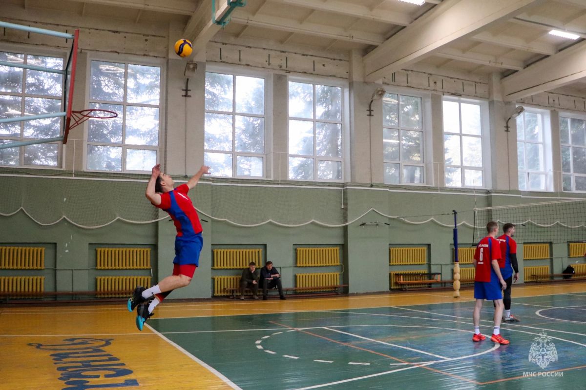 Волейбольная команда заняла на Чемпионате золото Волейбольная команда заняла на Чемпионате золото