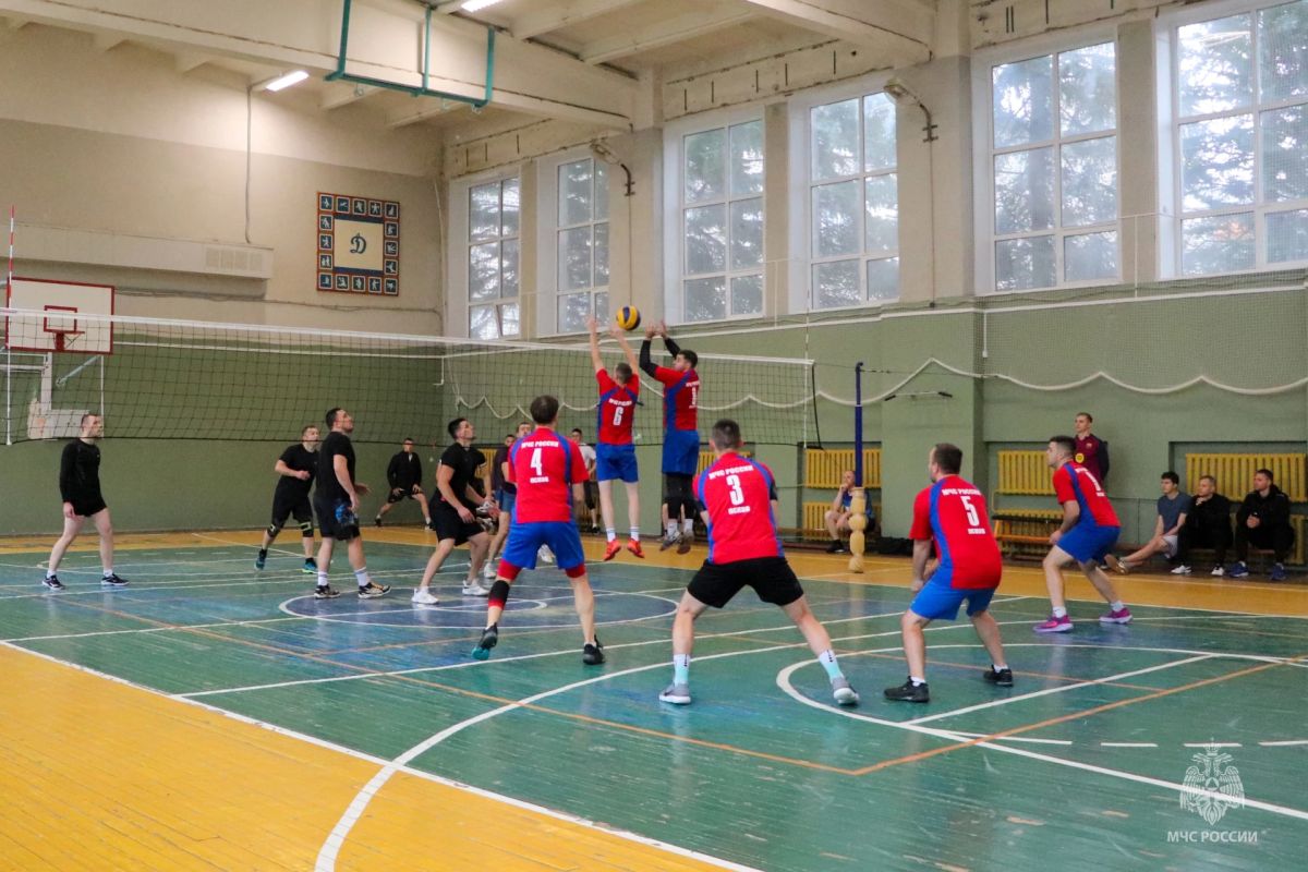 Волейбольная команда заняла на Чемпионате золото Волейбольная команда заняла на Чемпионате золото
