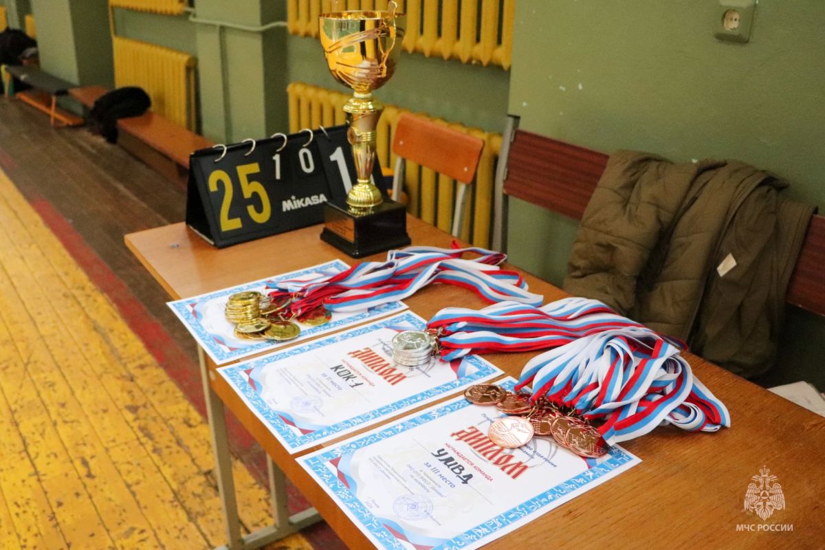 Волейбольная команда заняла на Чемпионате золото Волейбольная команда заняла на Чемпионате золото