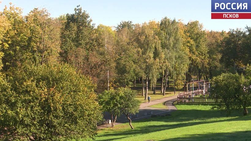 До плюс 10 градусов - со второй половины недели в Псковской области похолодает