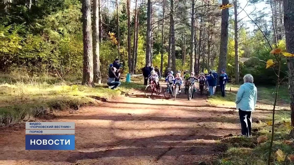 Спортивные выходные в Псковской области прошли сразу на двух площадках