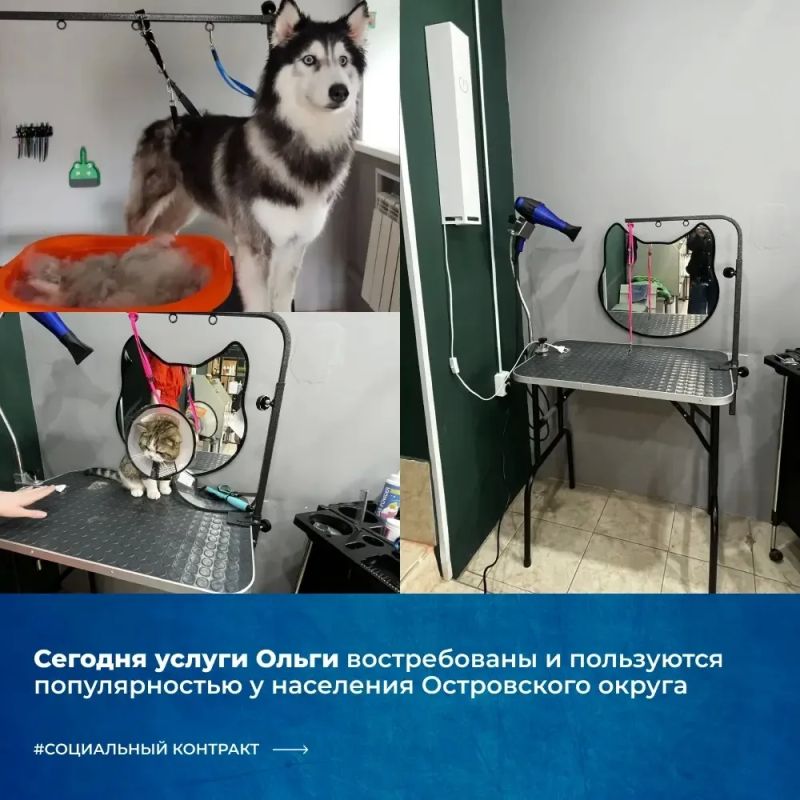 Социальный контракт помогает превратить любимое дело в успешный бизнес Социальный контракт помогает превратить любимое дело в успешный бизнес