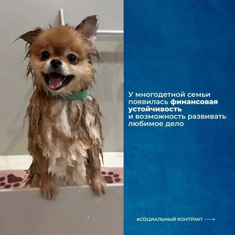 Социальный контракт помогает превратить любимое дело в успешный бизнес Социальный контракт помогает превратить любимое дело в успешный бизнес