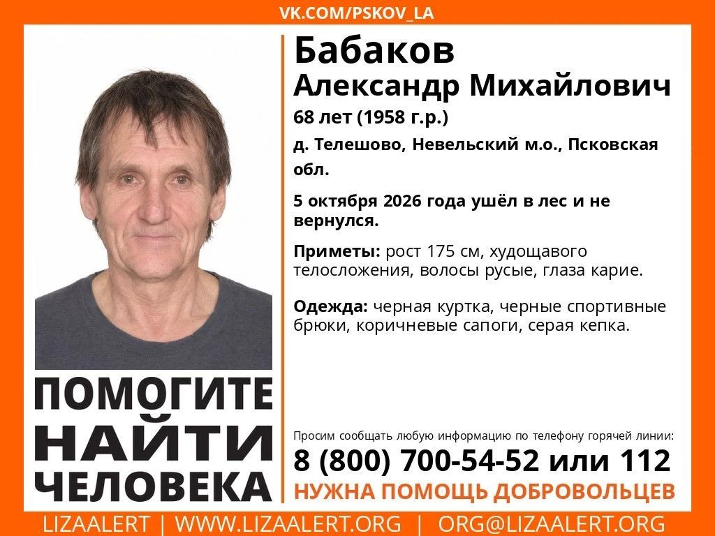 Пропавшего в лесу пенсионера разыскивают в Невельском районе