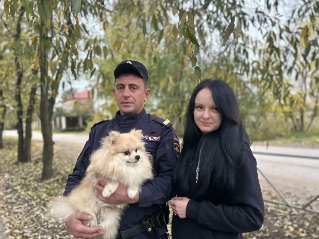 В Великих Луках полицейский спас шпица Винсента от нападения агрессивной овчарки