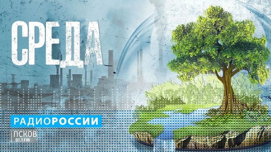Среда. Выпуск 07.10.2026. Старый шкаф в лесу