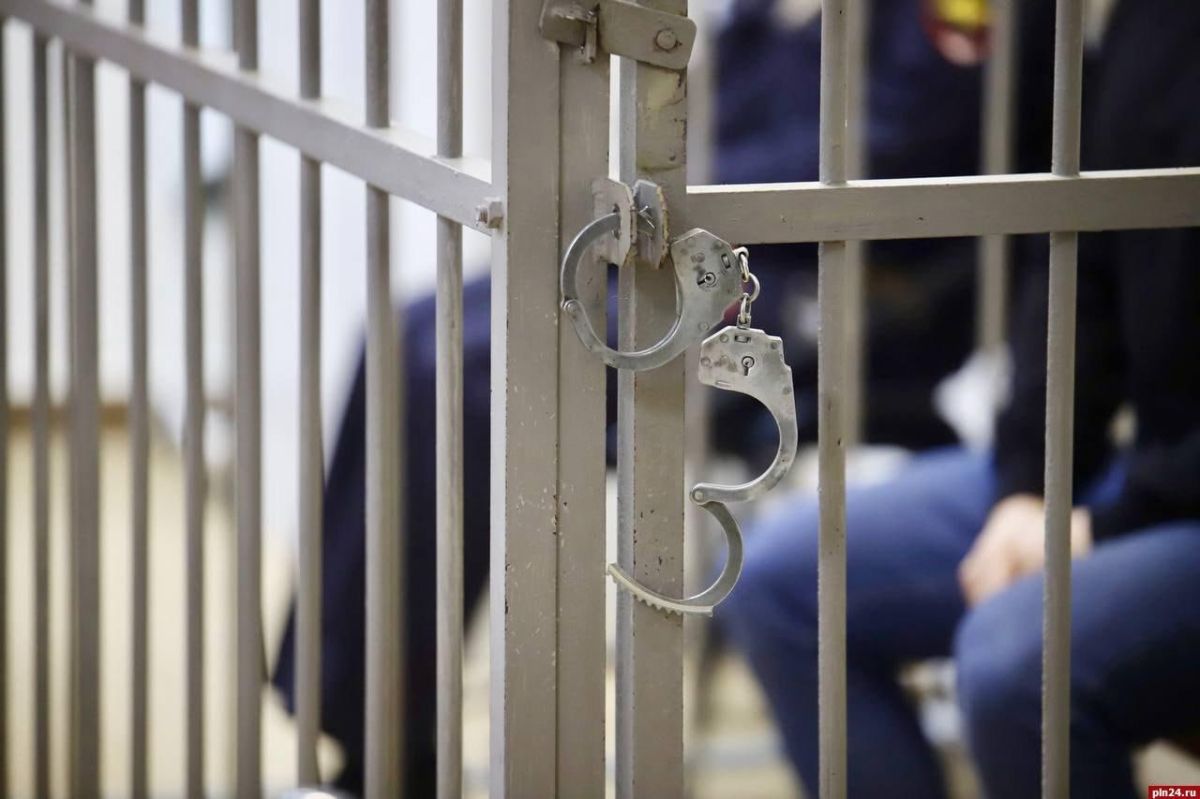 Наказание спустя 15 лет: в Опочке вынесли суровый приговор за жестокое нападение на 9-летнюю девочку