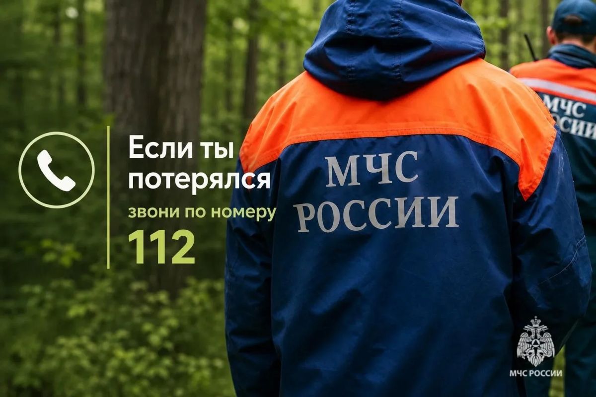 Тихая охота без риска: как не потеряться в лесу Тихая охота без риска: как не потеряться в лесу