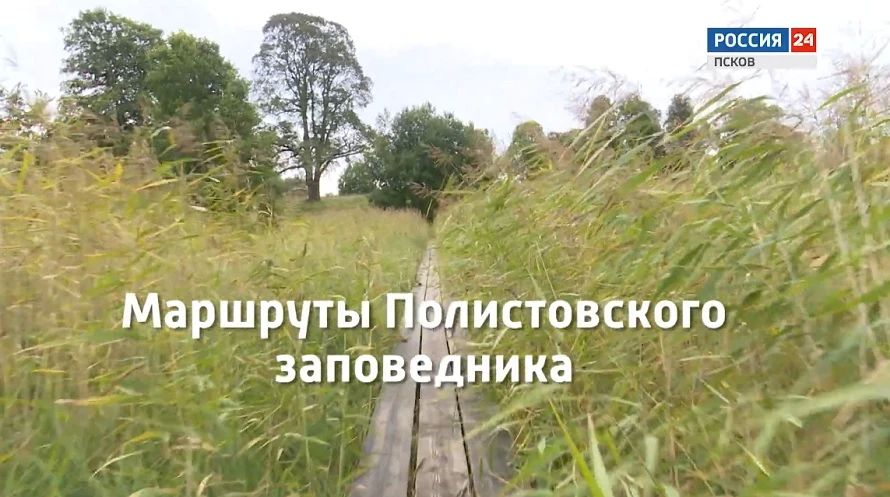 Спецрепортаж. Маршруты Полистовского заповедника