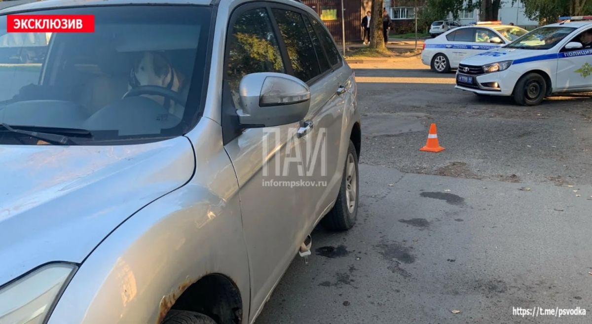 В Пскове на улице Красноармейской у дома № 33 автомобиль Lifan с женщиной зарулём сбил 77-летнюю пенсионерку