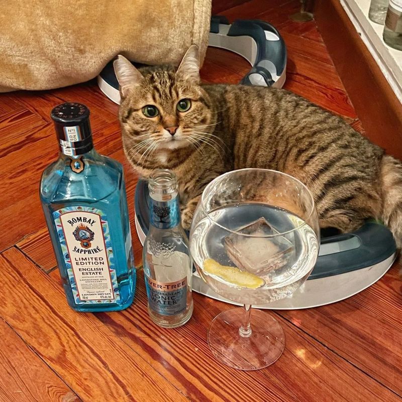 Международный день джин-тоника (International Gin and Tonic Day) отмечается сегодня, 19 октября