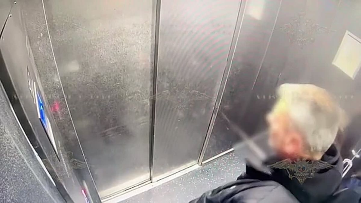Опубликовано видео нападения псковича на 9-летнюю девочку в лифте питерской многоэтажки