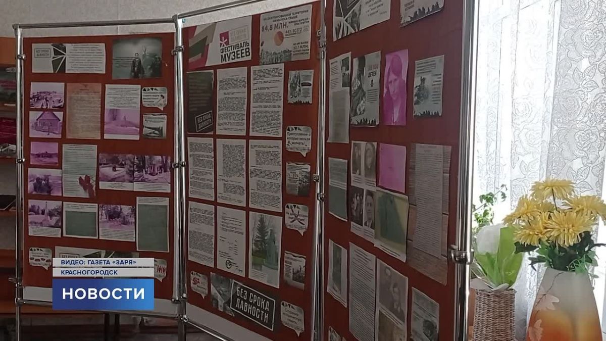 В Красногородской центральной библиотеке прошёл час памяти «Реквием сожжённым деревням»
