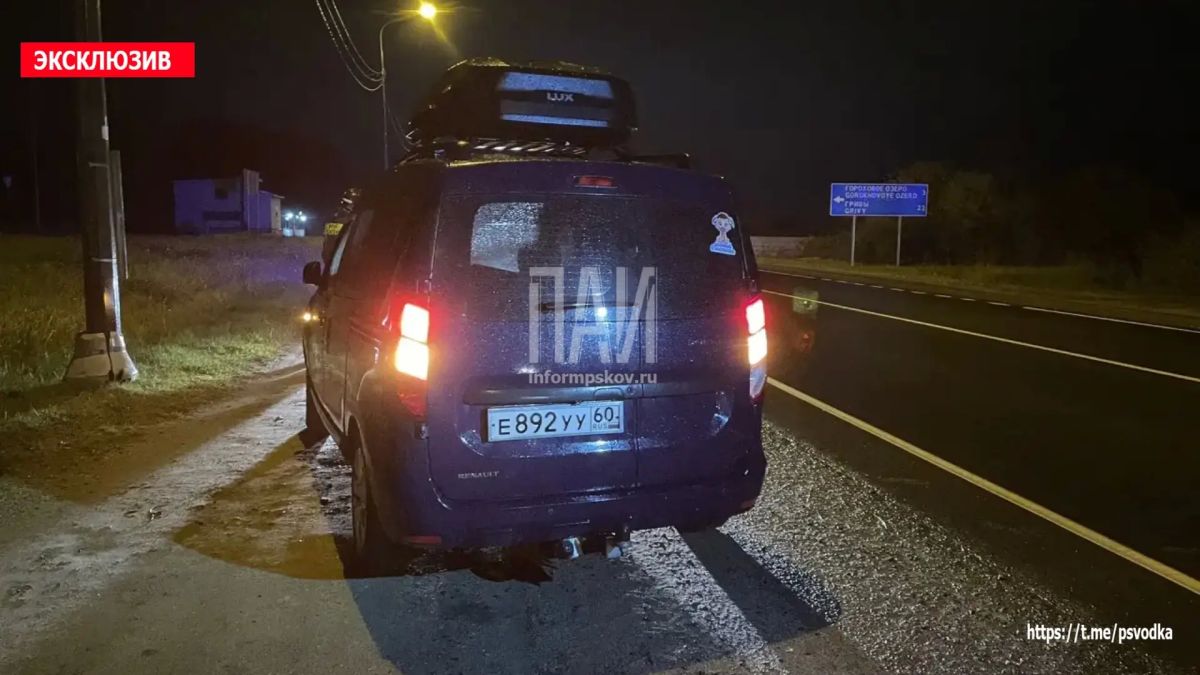 В Островском районе, на повороте на Гороховое озеро, водитель автомобиля Renault Dokker совершил наезд на женщину 1951 года рождения В Островском районе, на повороте на Гороховое озеро, водитель автомобиля Renault Dokker совершил наезд на женщину 1951 года рождения