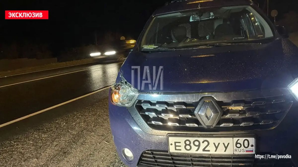 В Островском районе, на повороте на Гороховое озеро, водитель автомобиля Renault Dokker совершил наезд на женщину 1951 года рождения В Островском районе, на повороте на Гороховое озеро, водитель автомобиля Renault Dokker совершил наезд на женщину 1951 года рождения