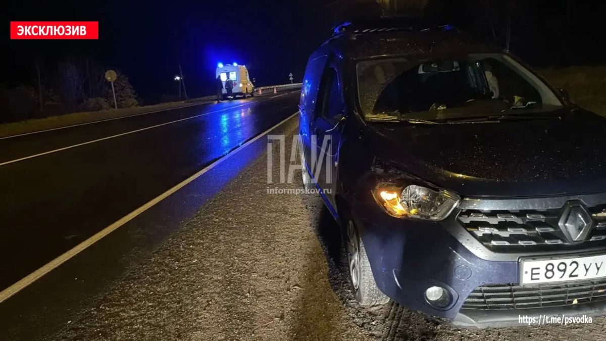 В Островском районе, на повороте на Гороховое озеро, водитель автомобиля Renault Dokker совершил наезд на женщину 1951 года рождения В Островском районе, на повороте на Гороховое озеро, водитель автомобиля Renault Dokker совершил наезд на женщину 1951 года рождения