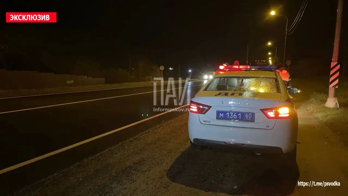 В Островском районе, на повороте на Гороховое озеро, водитель автомобиля Renault Dokker совершил наезд на женщину 1951 года рождения В Островском районе, на повороте на Гороховое озеро, водитель автомобиля Renault Dokker совершил наезд на женщину 1951 года рождения