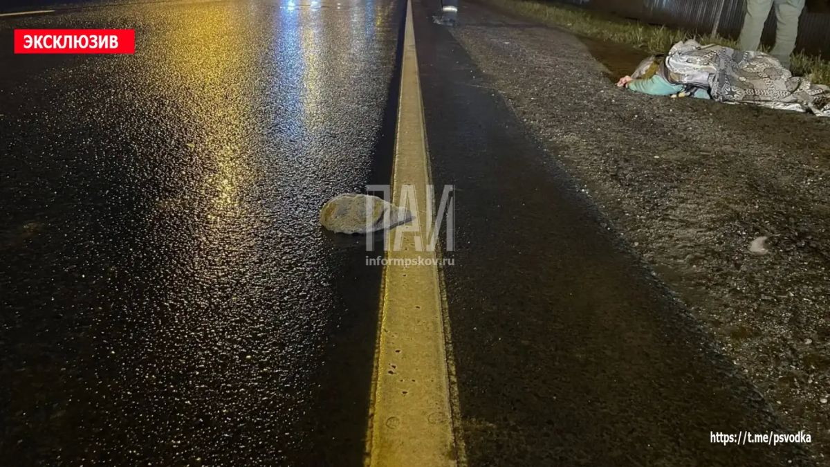 В Островском районе, на повороте на Гороховое озеро, водитель автомобиля Renault Dokker совершил наезд на женщину 1951 года рождения