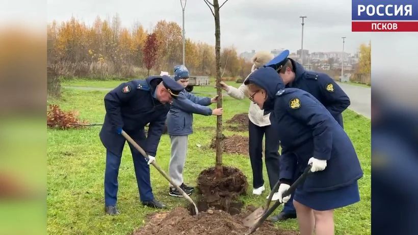 В парке 300-летия прокуратуры в Пскове высадили новые деревья В парке 300-летия прокуратуры в Пскове высадили новые деревья
