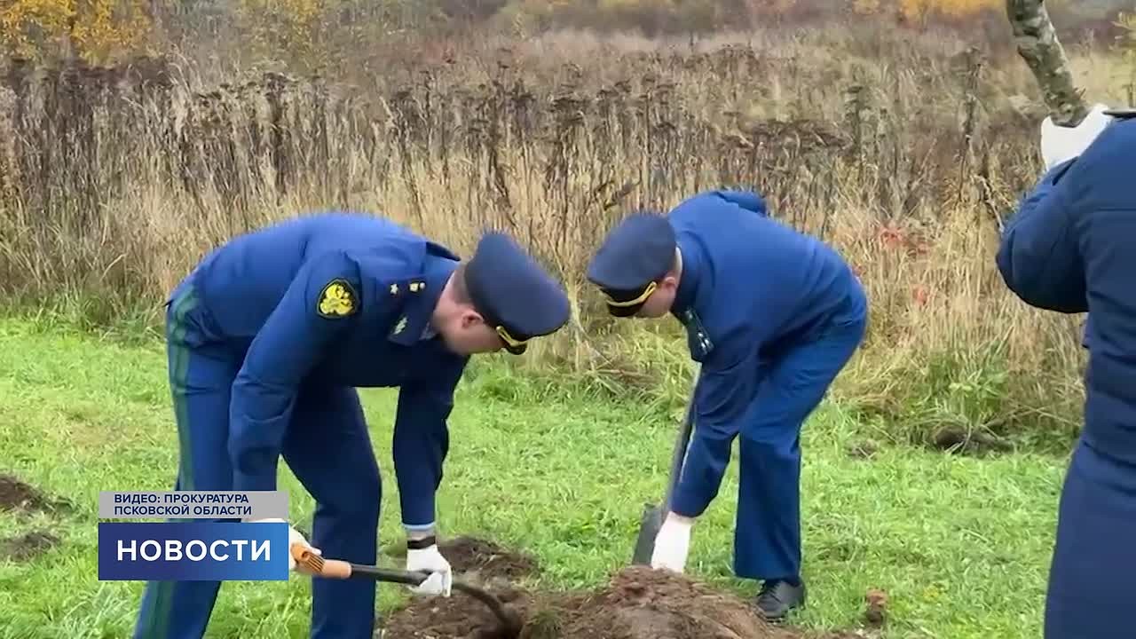 Работники прокуратуры во главе с прокурором Псковской области Андреем Мошковым приняли участие в высадке деревьев в «Парке 300-летия прокуратуры»