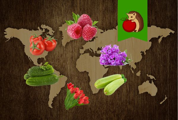 �� ���� � ������: �������� ��� ���� ������ ��������� ������ � ������