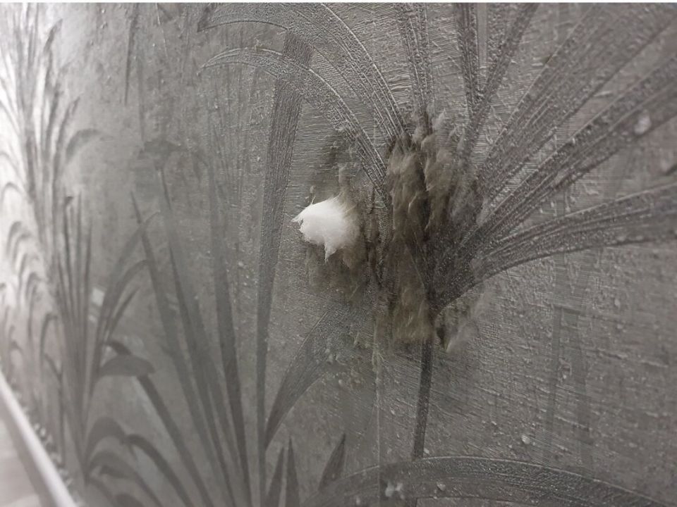 Как справиться с плесенью в новом доме: Советы по устранению проблемы