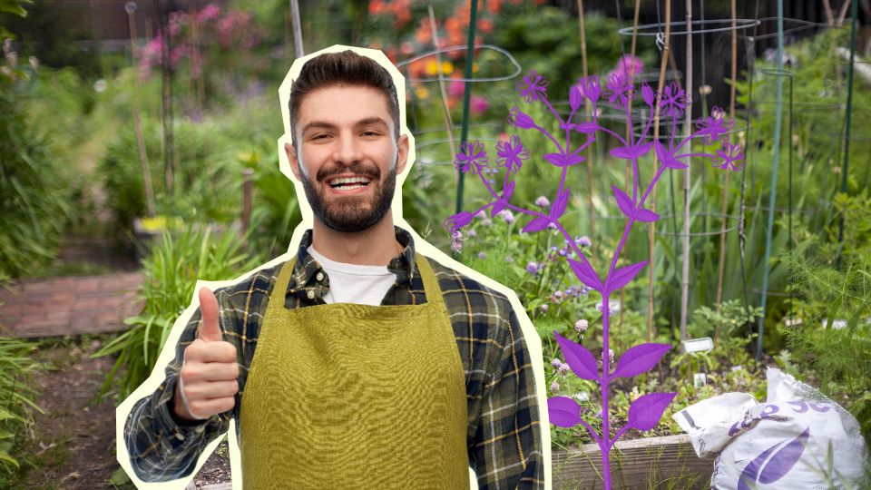 Вы зря избавлялись от этого сорняка на участке: садоводам он только в помощь