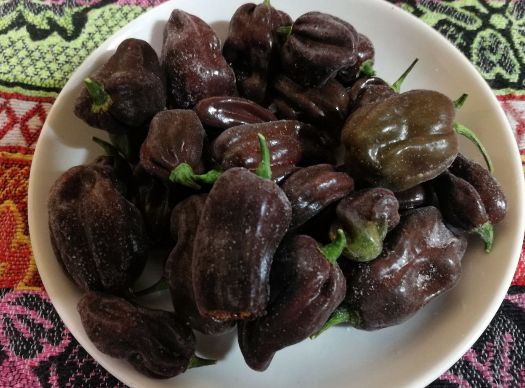 Острые перцы: Летняя страсть и выбор гурманов