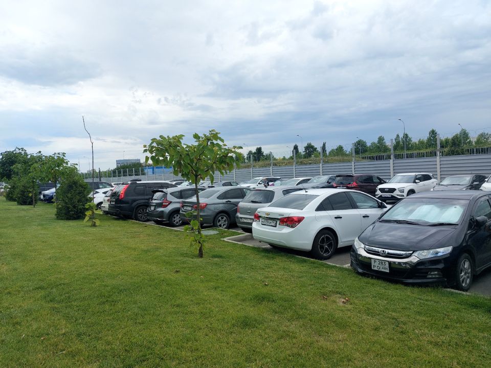 Японский сад в Краснодаре: как избежать длинных очередей и насладиться природой