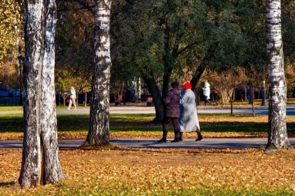 Новые законы, которые изменят жизнь томичей в ноябре 2025 года