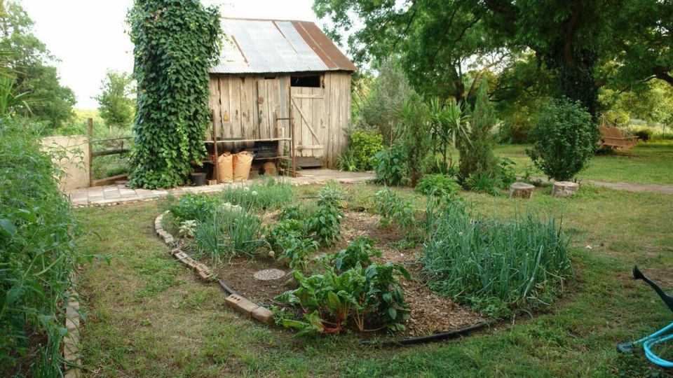 Как создать идеальный сад: простые шаги для начинающих