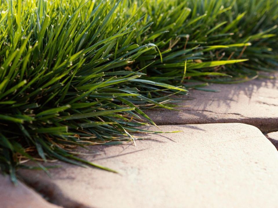 ���� �������� ��������� ������ �����: �������� ������ � ������ ��������