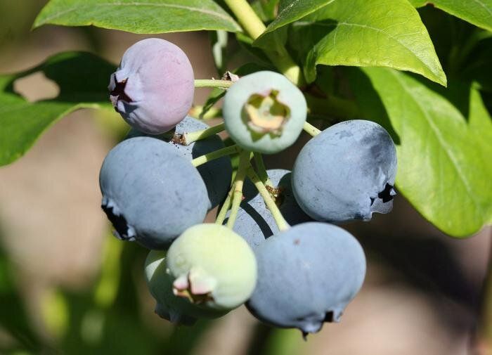 ��������: �������� � ������ � ��������