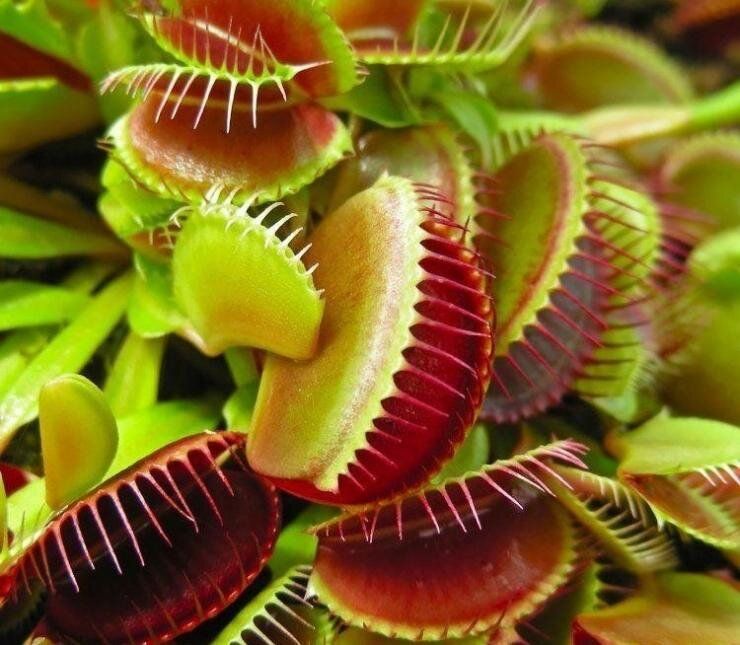 ������������ ������� � ����� ����