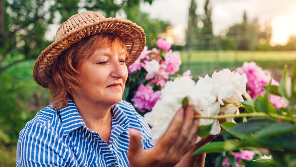 �� ���������� ������� ������: ��� ��� ����� ��������� ������� ������ �� �����