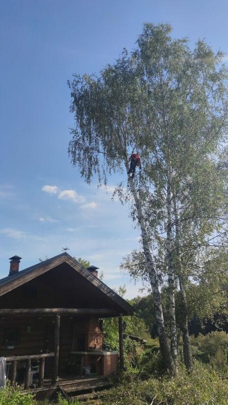 ������� �������� �� ����������� �������: ����� ��� ����� �������� � ���������?