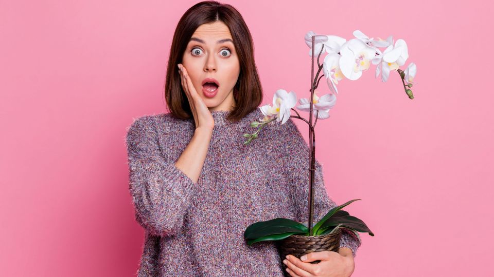 ���������� ������� ����������, ���� �������� ��� �������: �� ���������� ������ �������