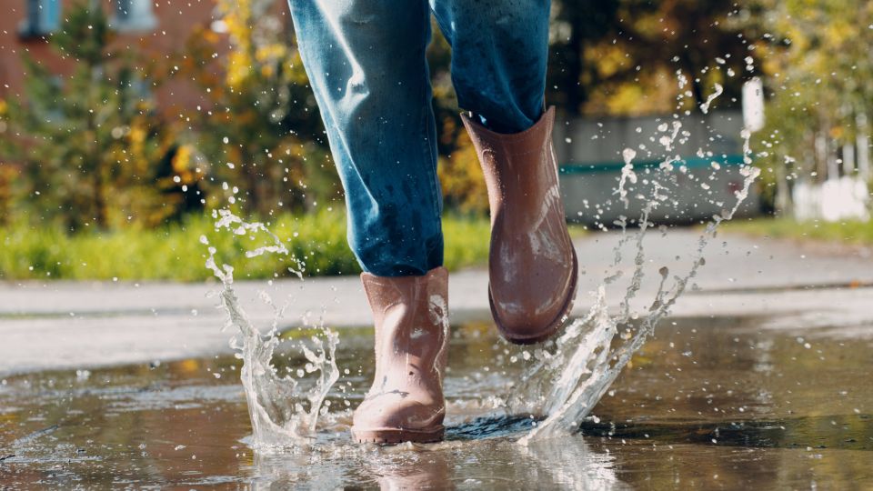 ����� ���� ����� ��� ������: ��� ���������� �� ����� �� ���� � ��������