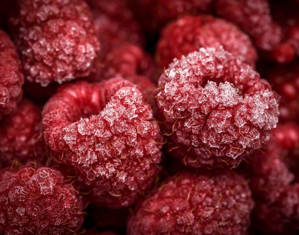 ������������ �����: �������� �������� ����