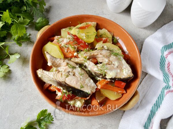 ����� ��� ����: ������� ������� ��� �������