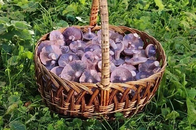 �������: ��� �� ��������� ��� ����� ������